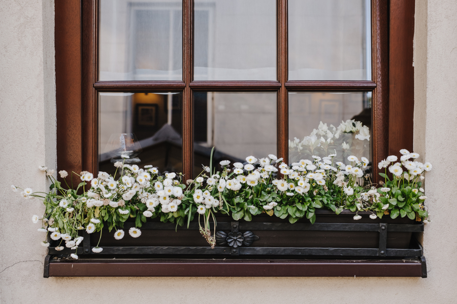 dekoracja okna biel i zieleń